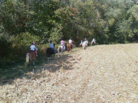 Take This Fall Foliage Trail Ride Through Delaware For A Truly Unique Experience