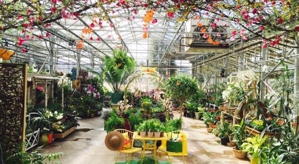 This Greenhouse Restaurant In Vermont Is The Most Enchanting Place To Eat
