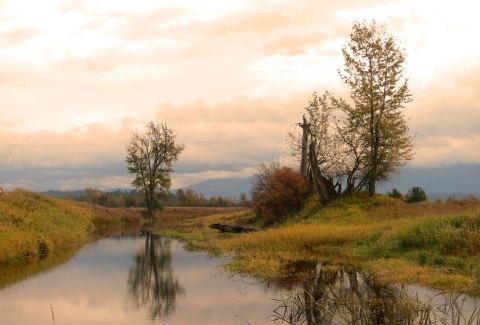 Few People Know These Hauntingly Beautiful Wetlands Are Hiding In Idaho