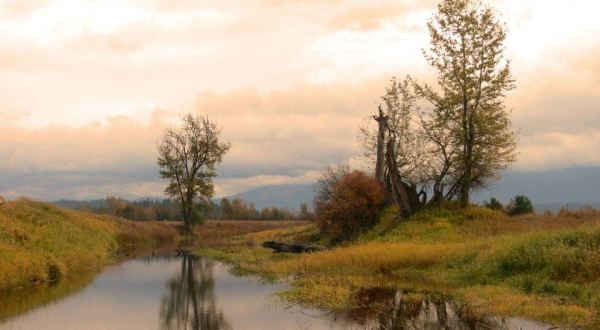 Few People Know These Hauntingly Beautiful Wetlands Are Hiding In Idaho