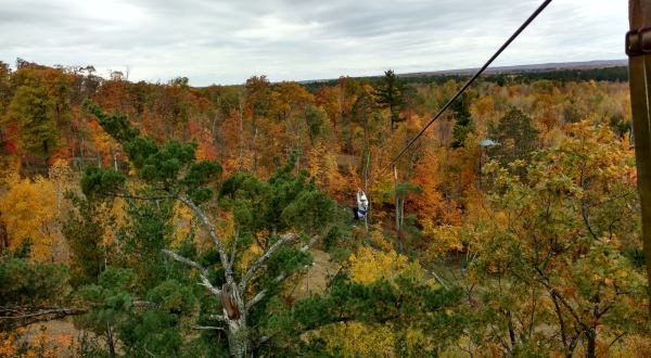 Take A Canopy Tour At Kerfoot Canopy Tour In Minnesota To See The Fall Colors Like Never Before
