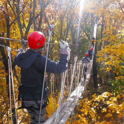 Take A Canopy Tour At Lake Geneva In Wisconsin To See The Fall Colors Like Never Before