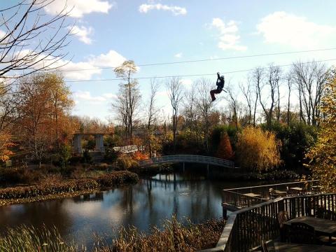 Take A Canopy Tour At Screaming Raptor Near Cincinnati To See The Fall Colors Like Never Before