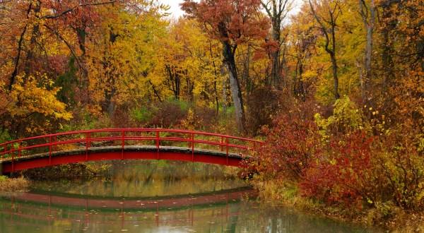 9 Parks In Michigan That Come To Life With Vibrant Colors In The Fall