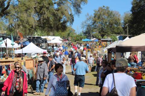 8 Amazing Antique Festivals In Florida Where You'll Find All Kinds Of Treasures