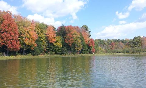 The One Hikeable Lake In Pennsylvania That's Simply Breathtaking In The Fall