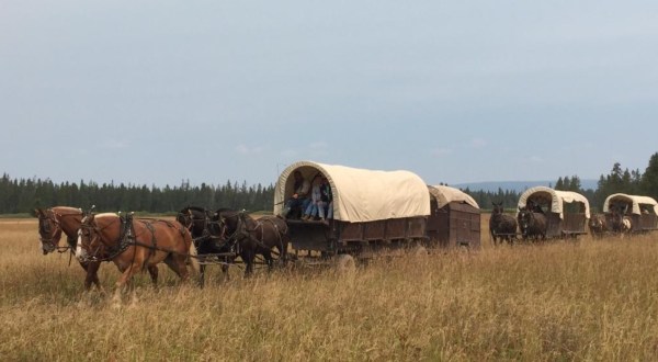 Teton Wagon Train and Horse Adventure in Wyoming Is A Memorable Trip