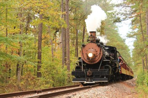 Take This Fall Foliage Train Ride Near Dallas - Fort Worth For A One-Of-A-Kind Experience