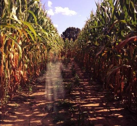 There's A Haunted Field Near Cincinnati That's Not For The Faint Of Heart