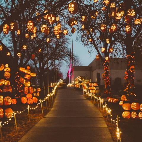 Don’t Miss The Most Magical Halloween Event In Northern California