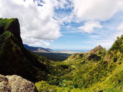 This Easy Forest Hike In Hawaii Will Lead You To The Most Rewarding View