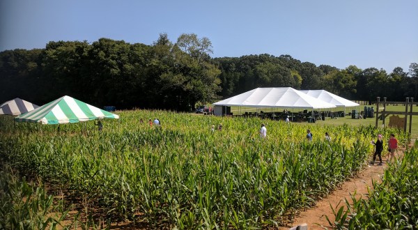 One Of The Largest Corn Mazes In The Southeast Is Right Here In North Carolina