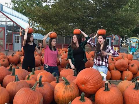 These 8 Charming Pumpkin Patches In Philadelphia Are Picture Perfect For A Fall Day