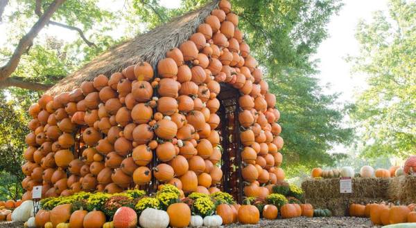 8 Harvest Festivals Around Nashville That Will Make Your Autumn Awesome