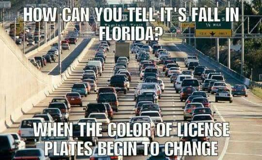15 Downright Funny Memes You’ll Only Get If You’re From Florida