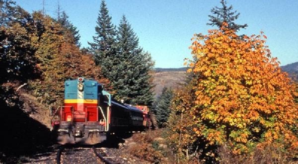 Take This Fall Foliage Train Ride Near Portland For A One-Of-A-Kind Experience