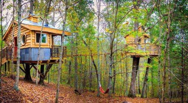 Climb Through The Trees And Then Spend The Night In Them At This Epic Treetop Destination In Kentucky