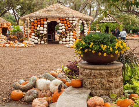 The Pumpkin Wonderland In Texas That Will Make All Your Fall Dreams Come True