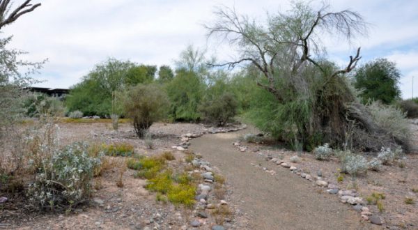 The Outdoor Discovery Park In Arizona That’s Perfect For A Family Day Trip