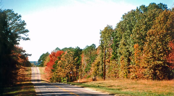 This Dreamy Road Trip Will Take You To The Best Fall Foliage In All Of Dallas – Fort Worth