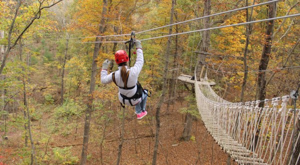 Take A Canopy Tour At Virginia Canopy Tours To See The Fall Colors Like Never Before