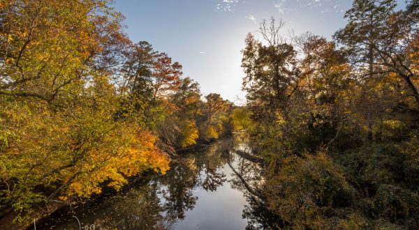 The One Hikeable Creek In Mississippi That’s Simply Breathtaking In The Fall