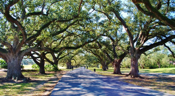 7 Adventures To Take In New Orleans That Won’t Break The Bank