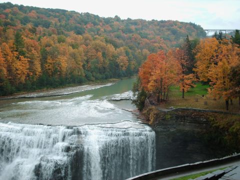 This Dreamy Road Trip Will Take You To The Best Fall Foliage In All Of Buffalo