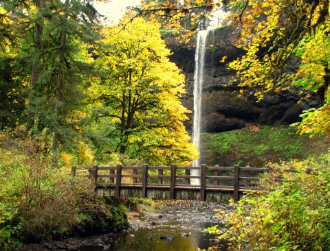 10 Short And Sweet Fall Hikes In Oregon With A Spectacular End View