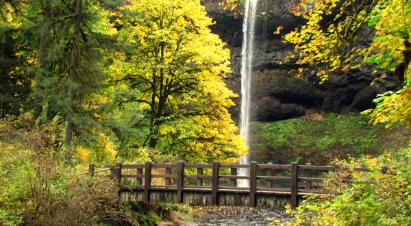 10 Short And Sweet Fall Hikes In Oregon With A Spectacular End View