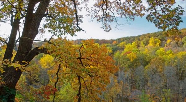 The Breathtaking Ohio Hike That Glows Gold Once A Year