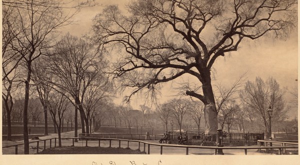 The Sinister Story Behind This Popular Boston Park Will Give You Chills