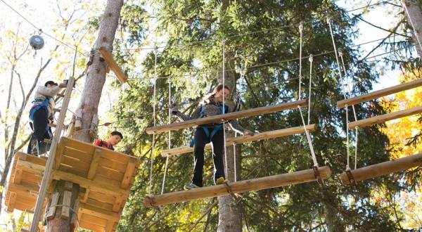 Take A Canopy Tour At Pocono Tree Ventures In Pennsylvania To See The Fall Colors Like Never Before