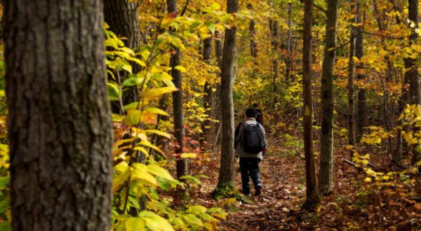 10 Short And Sweet Fall Hikes In Massachusetts With A Spectacular End View