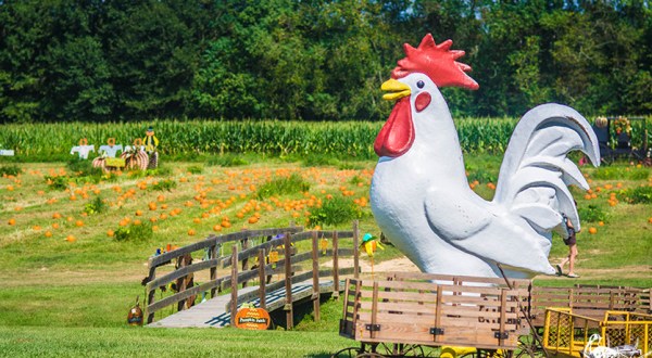Kids Will Go Nuts For This Wicked Awesome Pumpkin Patch In Louisiana