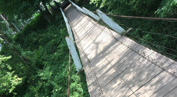 The Stomach-Dropping Suspended Bridge Walk You Can Only Find In Iowa