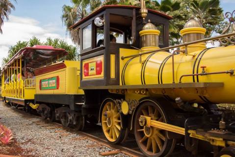 This Train Ride Through A Hawaii Pineapple Plantation Is A Dream Come True