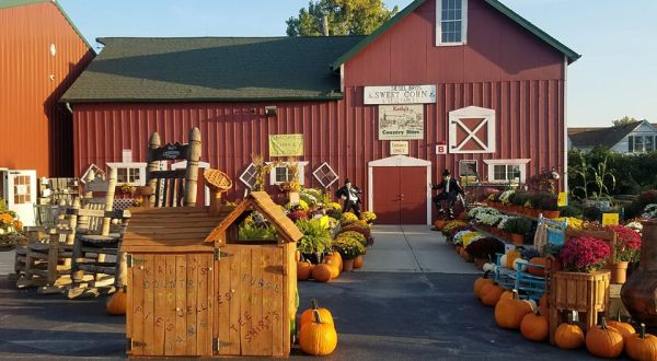 The Fall Farm Train Ride Near Chicago That’s Perfect For A Fall Day