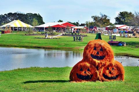 These 11 Charming Pumpkin Patches In Kansas City Are Picture Perfect For A Fall Day