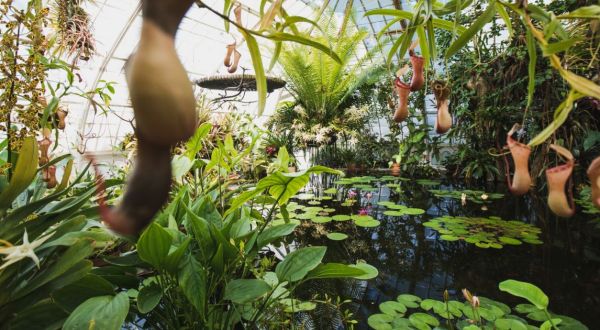 6 Beautiful Indoor Gardens You Never Knew Existed Around San Francisco