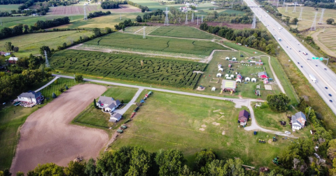 Get Lost In These 8 Awesome Corn Mazes Near Detroit This Fall