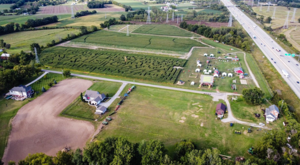 Get Lost In These 8 Awesome Corn Mazes Near Detroit This Fall