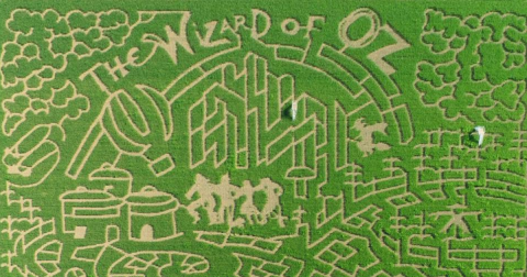 Get Lost In These 6 Awesome Corn Mazes In New Mexico This Fall