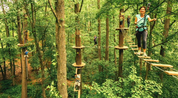 This Canopy Walk Near Kansas City Will Make Your Stomach Drop