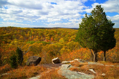 The Breathtaking New Jersey Hike That Glows Gold Once A Year