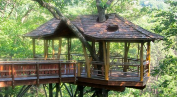 These 15 Incredible Treehouses Around The U.S. Will Simply Blow You Away