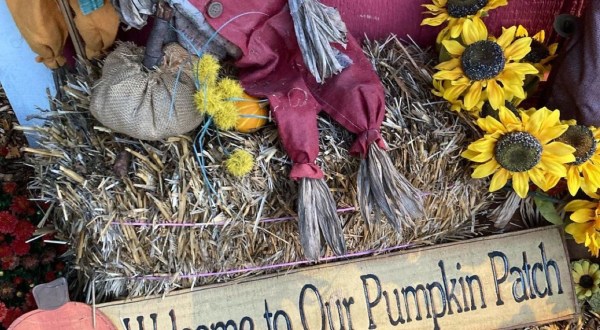 If You Only Visit One Pumpkin Patch In Oklahoma This Fall, Make It This One