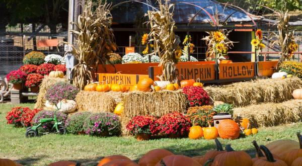 These 10 Charming Pumpkin Patches In Arkansas Are Picture Perfect For A Fall Day