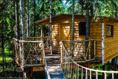 This Enchanting Treehouse In Alaska Looks Like Something Straight Out Of A Dream