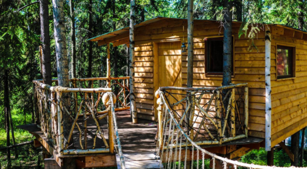 This Enchanting Treehouse In Alaska Looks Like Something Straight Out Of A Dream